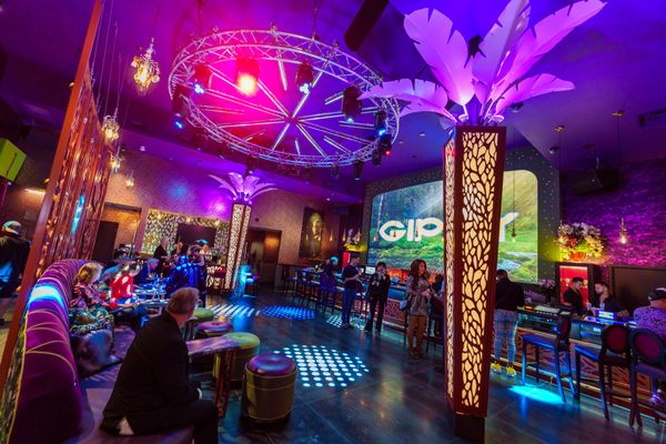 Gipsy by null