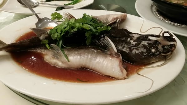 富臨門酒家 Marco Polo Chinese Cuisine by null