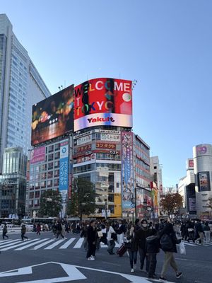 Shibuya Crossing by null