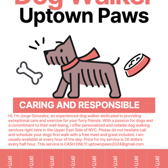 Uptown Paws - Dog Walkers Near Me Uptown Paws - Dog Walkers Near Me