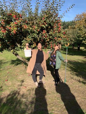 Sherwood Orchards by null