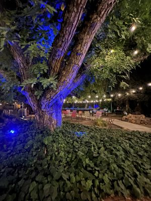 Backyard Social Club by null