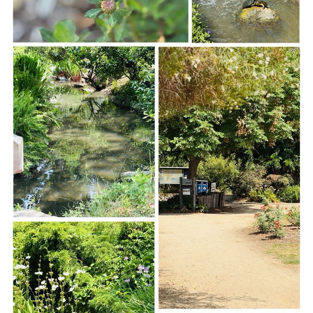 TOP 10 BEST Tulip Field in Vista, CA - Updated 2026 - Yelp