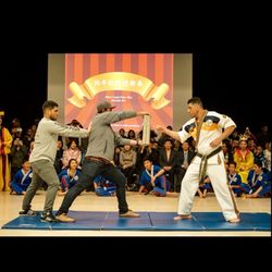 World Martial Arts Association - The owner of World Martial Arts demonstrating a 6 inch punch through 2 bricks