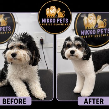 Nikko Pets Mobile Grooming - Pet Groomers Near Me Nikko Pets Mobile Grooming - Pet Groomers Near Me