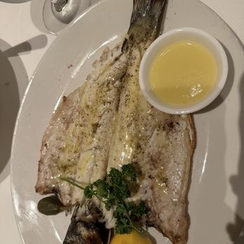 Avra - Lavraki - Greek Near Me - Dallas, Texas
