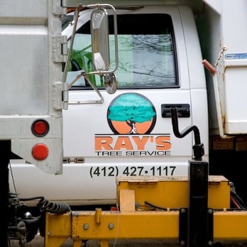 Ray's Tree Service and Landscaping - Tree Services Near Me - McKeesport, Pennsylvania Ray's Tree Service and Landscaping - Tree Services Near Me - McKeesport, Pennsylvania