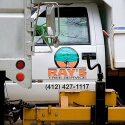 Ray's Tree Service and Landscaping
