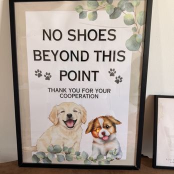 Puppies & Yoga - Yoga Near Me - Providence, Rhode Island Puppies & Yoga - Yoga Near Me - Providence, Rhode Island