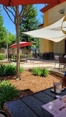 The Waffle Experience by null