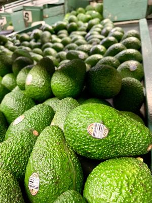 Del Rey Avocado Co by null