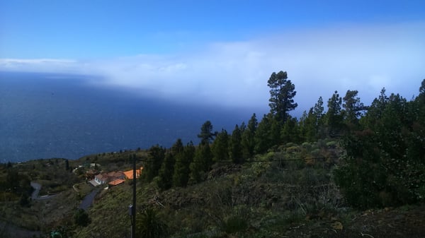 Restaurante La Muralla by null