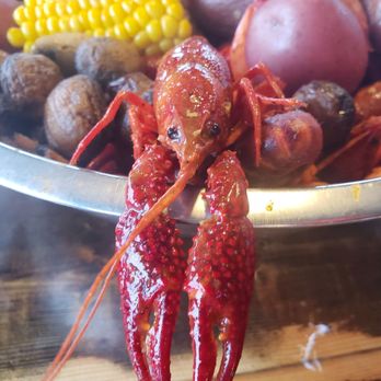 Crazy Alan's Swamp Shack - Too cute to eat! - G style flavored pot - Seafood Near Me - Kemah, Texas