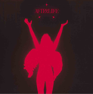 Afterlife Seattle by null