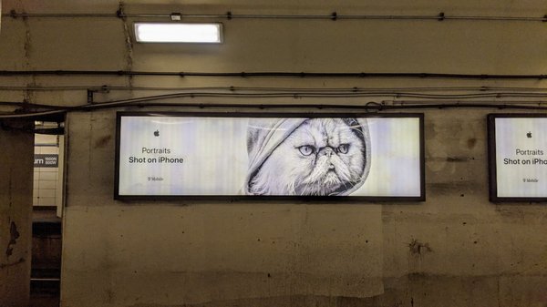 Chicago Transit Authority by null