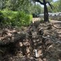 Photo of TX Septic Pros