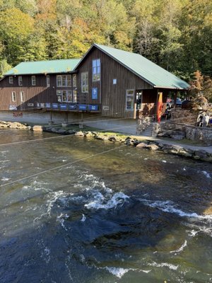 Great Smoky Mountains Railroad by null