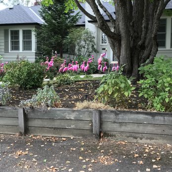 Think Pink Flamingo Flocking - Party & Event Planning Near Me - Portland, Oregon