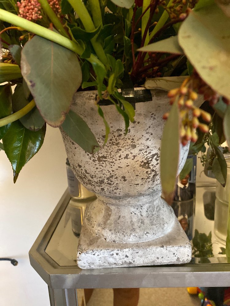 FLORAS AVENUE Updated September 2024 75 Photos & 43 Reviews 233