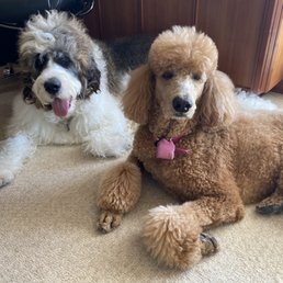 Max and Patsy Max and Patsy
