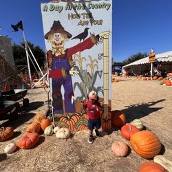 Queens Pumpkin Patch - Day in country