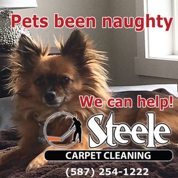 Steele Carpet Cleaning - Carpet Cleaning Near Me - Airdrie, Alberta Steele Carpet Cleaning - Carpet Cleaning Near Me - Airdrie, Alberta