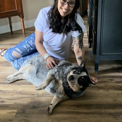 The Dog House - Tina and Bandit (Bandit Crossed the Rainbow Bridge a few weeks ago)