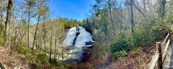 DuPont State Recreational Forest by null