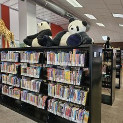 Austin Public Library - Spicewood Springs