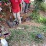 Photo of Manitos Sprinkler Services