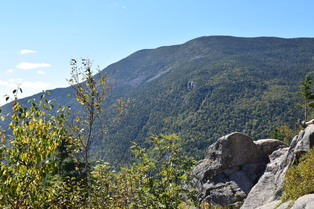 Mount Willard Logo