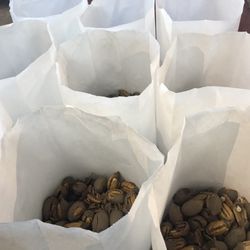 Dotson Wholesale Produce