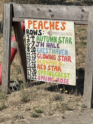 Brosi's Sugartree Farms by null