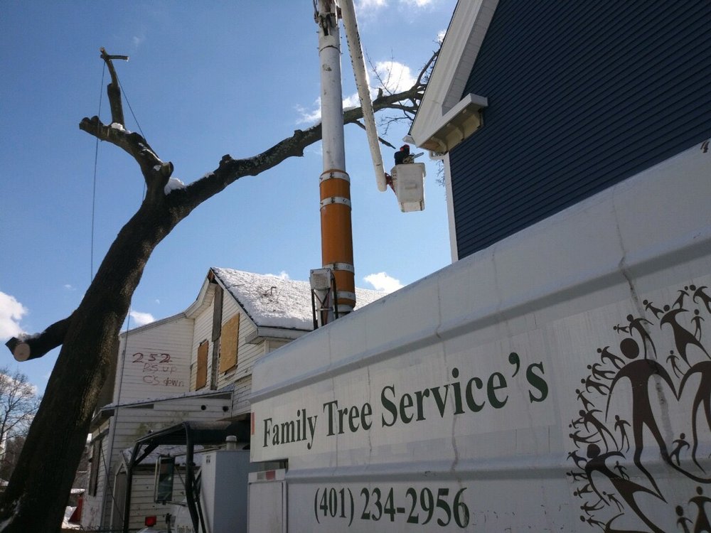 Family Tree Services - tree service in Providence, RI