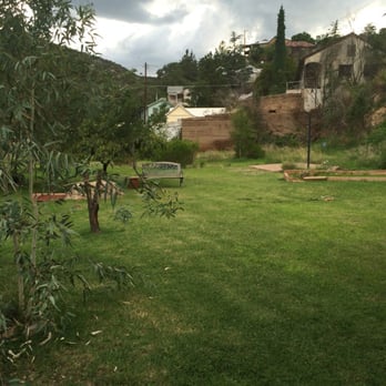 Jonquil Motel - And plenty of grass! So beautiful! - Hotels Near Me - Bisbee, Arizona Jonquil Motel - And plenty of grass! So beautiful! - Hotels Near Me - Bisbee, Arizona
