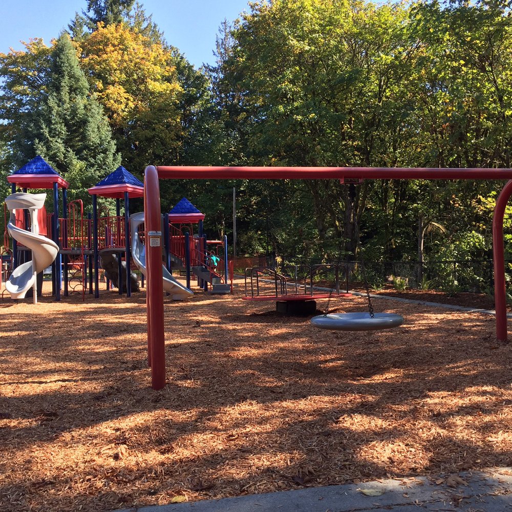 Taylor Park - Great little park - Playgrounds Near Me - Duvall, Washington