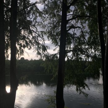 Cheers Altamonte - a view of a lake through the trees - Burgers Near Me - Altamonte Springs, Florida Cheers Altamonte - a view of a lake through the trees - Burgers Near Me - Altamonte Springs, Florida