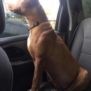 La Sierra Trail Loop - Getting excited for her hike today - Hiking Near Me - Chino Hills, California La Sierra Trail Loop - Getting excited for her hike today - Hiking Near Me - Chino Hills, California