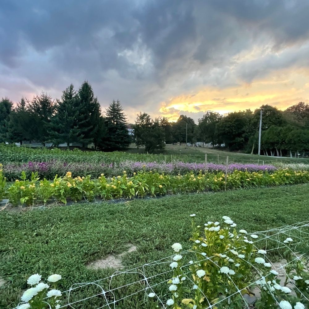 Hudson Wildflower Co - Sunset after a storm in the Valley - Florists Near Me - Milton, New York