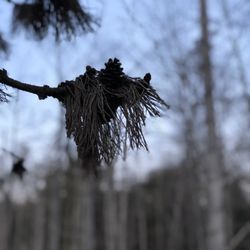 Pocono Environmental Education Center