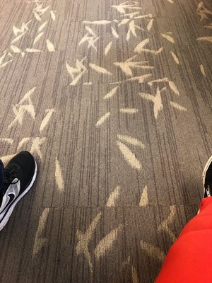 Monter Cancer Center