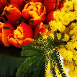 Liguori - Composizione festa della donna
