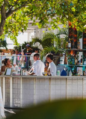 Meet Dalia - Mediterranean restaurant in Miami Beach by null