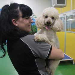 The Pet Hotel