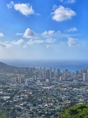 Puʻu ʻUalakaʻa State Wayside by null