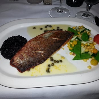 Mistral - Bronzino - French Near Me - Sherman Oaks, California Mistral - Bronzino - French Near Me - Sherman Oaks, California