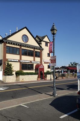 Hibiscus on the Mile by null