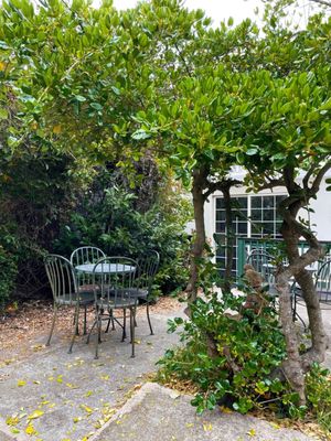 Garden House Cafe by null