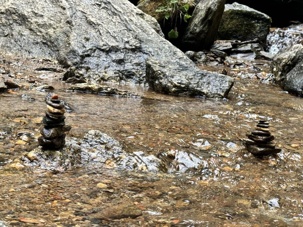 Tom's Creek Falls Logo