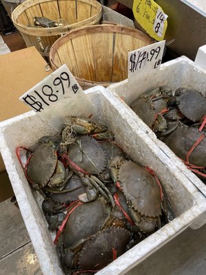 Asianfresh Food Market by null